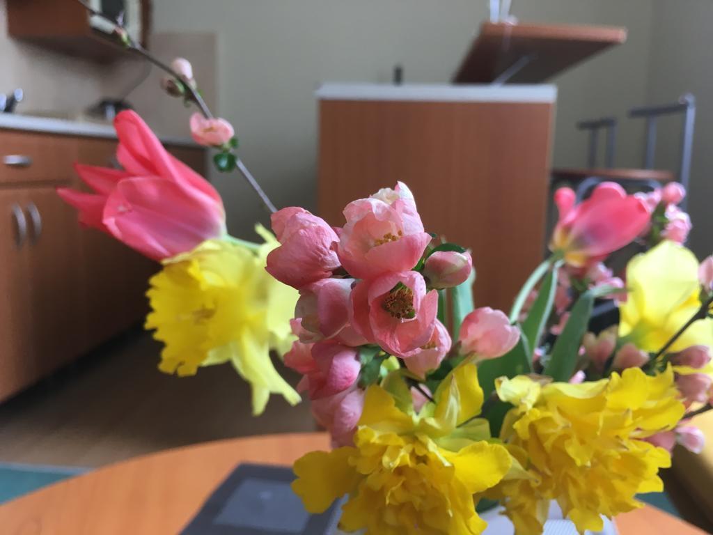 Apartman Darmon ปิเอชตานี ภายนอก รูปภาพ